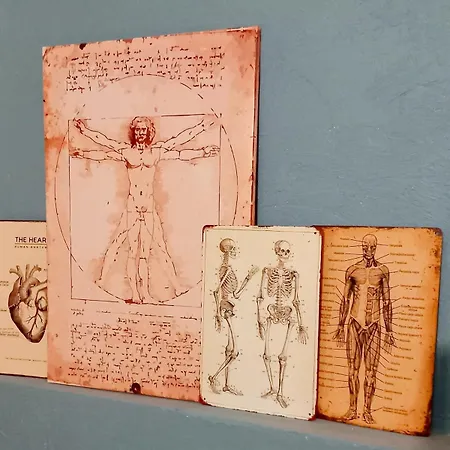 아파트 T2-la Rabelais 몽펠리에